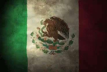 bandera de mexico gif bandera mexico mexico flag  mexico discover  share gifs