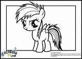 Pony Coloring Rainbow Little Dash Pages Baby Equestria Mlp Girls Colouring Printable Girl Minister Miracle Timeless Comments Popular sketch template