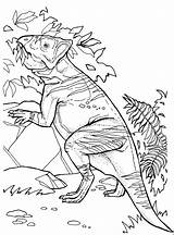 Pachycephalosaurus Leptoceratops Pflanzenfresser Frisst Dinosaurs Ausmalbilder Supercoloring Dibujo Ceratopsian Malvorlage Malvorlagen sketch template