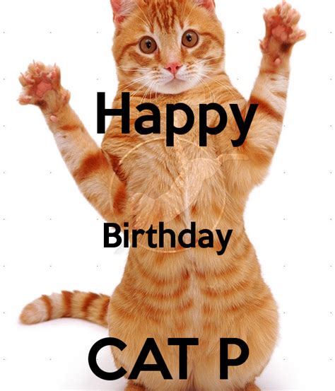 Birthday Wishes With Cats Page 6