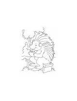 Coloring Porcupine Pages Threatened sketch template
