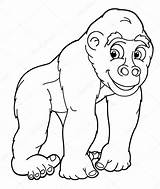 Gorilla Coloring Pages Cartoon Stock Baby Depositphotos Drawing Para Colorear Angry Silverback Template Animales Color Kids Peligro Getdrawings St2 Emblem sketch template