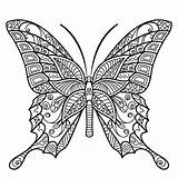 Mandala Coloring Pages Butterfly Adult Printable Adults Sheets Colouring Color Book Books Kids Fairy Flower Peaksel Zentangle Choose Board Bible sketch template