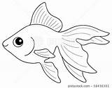 Goldfish Coloring Illustration Stock sketch template