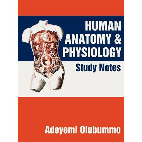 human anatomy  physiology study notes paperback walmartcom