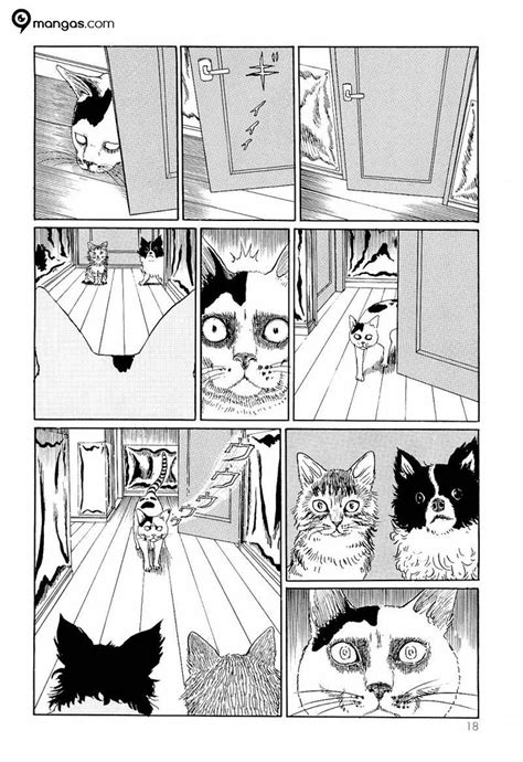 Ito Junji S Cat Diary 2 5 Nine Mangas Flickr