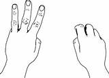 Fingers Clipart Three Outline Participation Red Cliparts Clip Library Counting Hands States United Style Etc Clipground Small sketch template