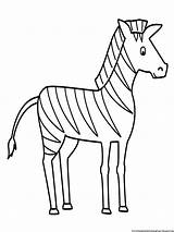 Zebra Coloring Drawing Pages Sketch Easy Outline Simple Line Animal Animals Kids Printable Gambar Mewarnai Stripes Draw Without Color Print sketch template
