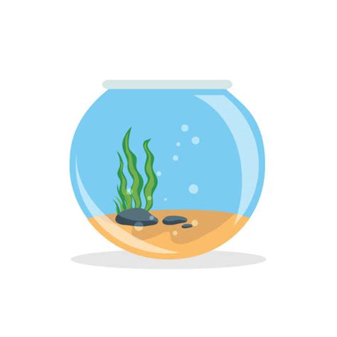 fishbowl stock illustrations royalty  vector graphics
