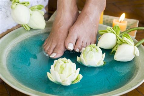 lotus flower aromatherapy spa  feet  stock image image  foot