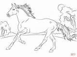 Horse Coloring Pages Getcolorings sketch template