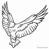 Adler Ausmalbild Mandala Ausmalbilder Artus Papagei Downloaden sketch template
