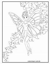 Fee Elfe Malvorlage Feen Elfen Kostenlose Schmetterlingen sketch template
