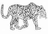 Leopard Ausmalbild sketch template