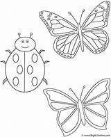 Coloring Butterflies Ladybug Insects Two Color Print Activity Bigactivities Ladybug2 sketch template
