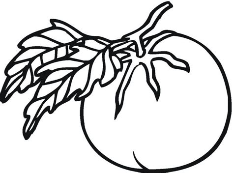tomato  coloring page supercoloringcom coloring pages vegetable