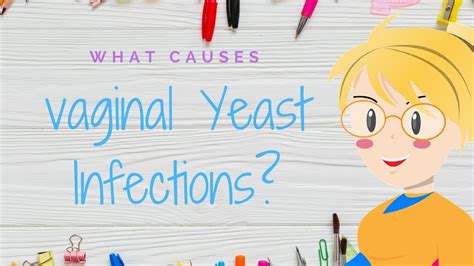 What Causes A Vaginal Yeast Infection I Things You Should