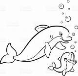 Dolphin Coloring Pages Baby Dolphins Printable Tale Cute Scuba Diver Color Animal Adults Pink Colouring Mommy Animals Easy Realistic Getdrawings sketch template