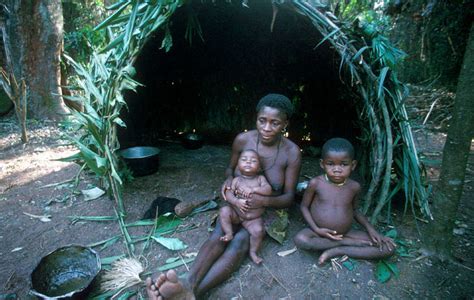 pygmies survival international