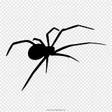 Aranha Spiders Widow Pngegg Desenhar Vectorified Insects sketch template