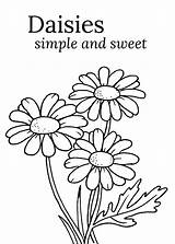 Pages Rocks Daisies sketch template