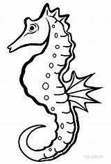Seahorse Coloring Pages Realistic Clipart Drawing Carle Eric Color Outline Printable Print Mister Kids Sheets Cool2bkids Sheet Getdrawings Drawings Getcolorings sketch template