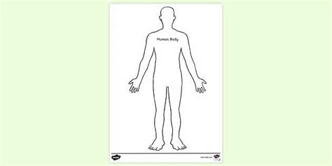 human body outline colouring colouring sheets