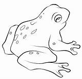 Frog Frogs Mewarnai Katak Cycle Sapos Dart Ranas Poison Bonikids Froglet Tadpole Squarepants Spongebob Hewan Toad Binatang Chachipedia sketch template
