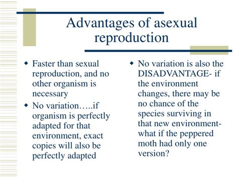 What Are The Advantages Of Sexual Over Asexual Reproduction My Xxx
