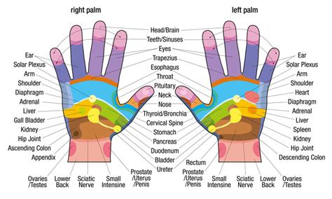 powerful hand acupressure points   heal ailments