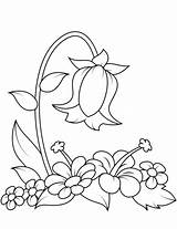 Coloring Bellflower Pages Categories Printable sketch template