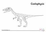 Coelophysis Dinosaur sketch template