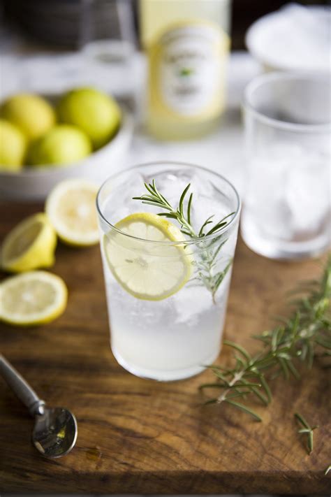 gin tonic  lemon cordial rosemary recipe drizzle  dip