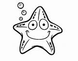 Estrella Pintar Estrellas Nautica Starfish Dibuix Dibuixos Acolore Nautical Animali Tarea sketch template