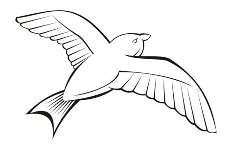 flying bird outline clipart   cliparts  images