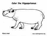 Coloring Hippopotamus Hippo Printing Pdf Exploringnature Sponsors Wonderful Support Please sketch template
