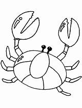 Coloring Pages Crab Kids Color Animals Printable Exoskeleton Buddies Related Posts sketch template