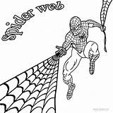 Spider Spinnennetz Spiderman Ausmalbilder Cool2bkids sketch template