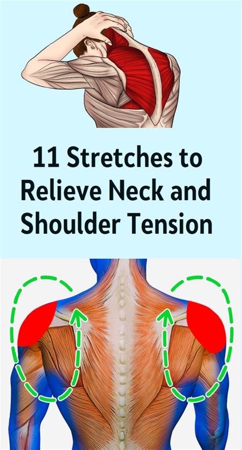 stretches  relieve neck  shoulder tension healthy lifestyle