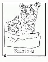 Endangered Coloring Animals Rainforest Pages Animal Panther Ocean Most America North Kids Activities Panth sketch template