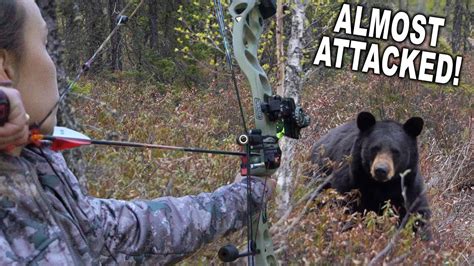 kill  bear   bow  arrow bow hunting advise