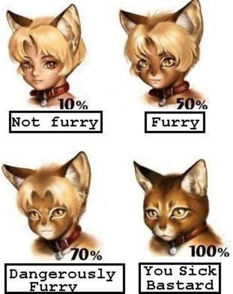 furry scale know your meme