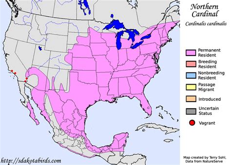 northern cardinal species range map