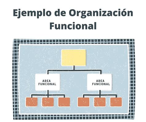 organizacion funcional como la estructura organizacional puede mejorar los resultados