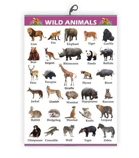 wild animals chart  kids early learning educational chart size