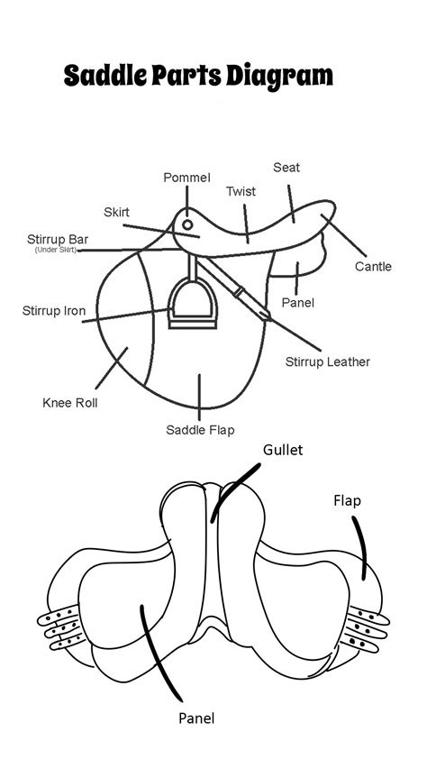 saddle worksheets printable    worksheetocom