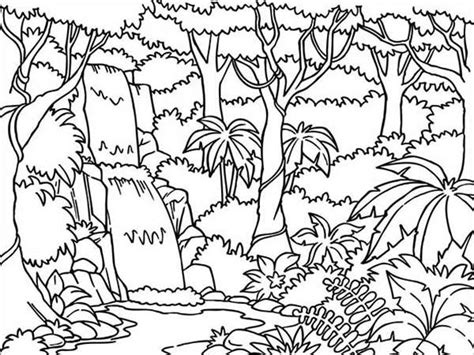 jungle coloring pages  png