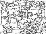 Jungle Coloring Pages Trees Colouring Template Junction sketch template