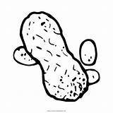 Arachide Peanuts Stampare sketch template