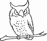Coloring Pages Owl Owls Animal Book Screech Books Choose Board Printable Outline Pattern Illustration sketch template